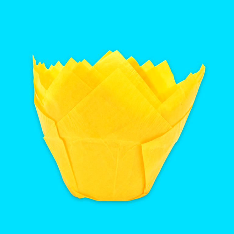 p_tulipan_amarillo