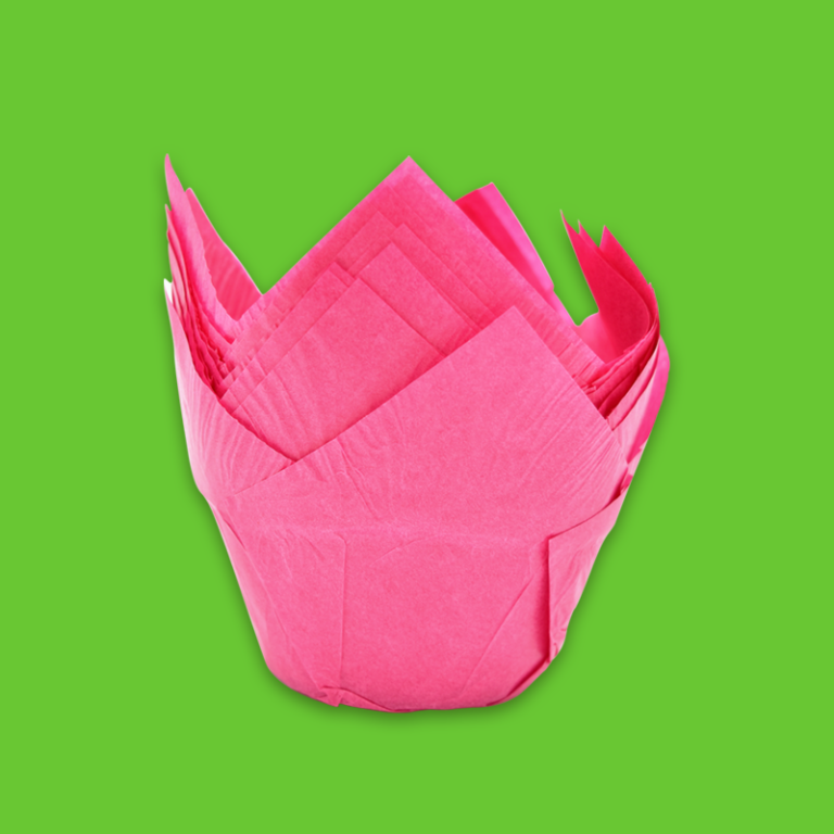 p_tulipan_fucsia