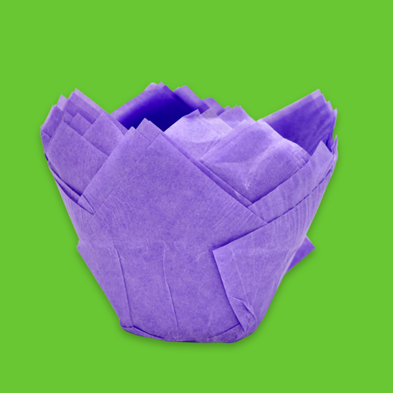 p_tulipan_morado