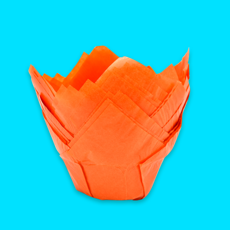 p_tulipan_naranja