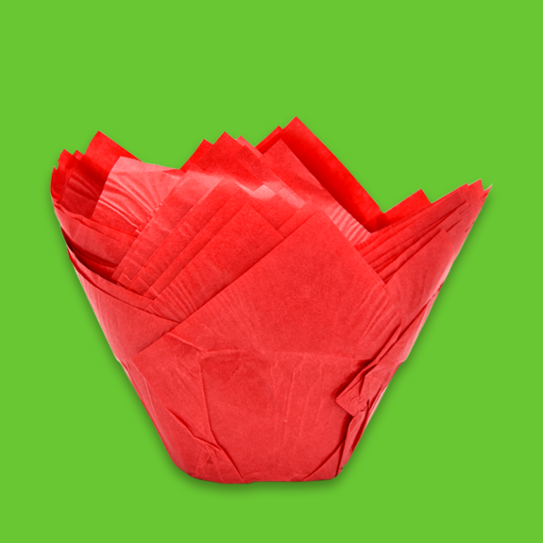 p_tulipan_rojo