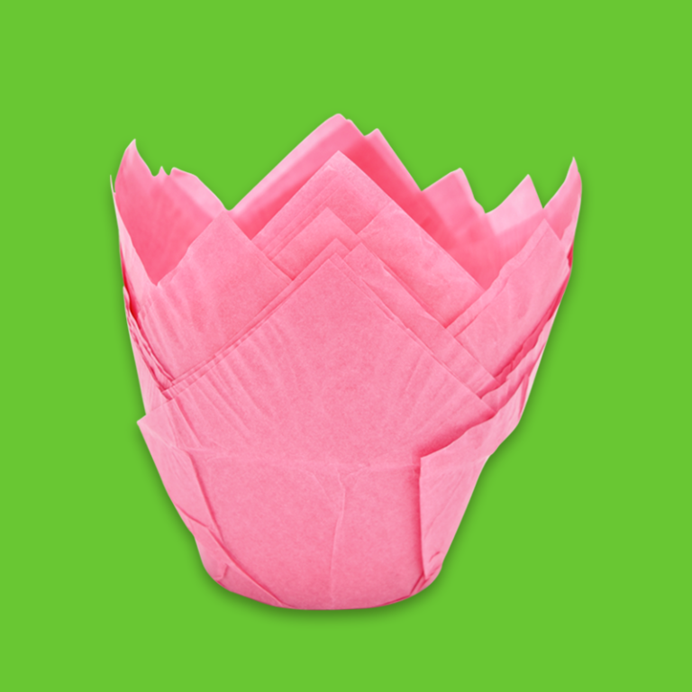 p_tulipan_rosado